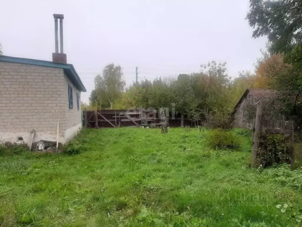 Дом в Липецкая область, Данковский район, Баловневский сельсовет, с. ... - Фото 1