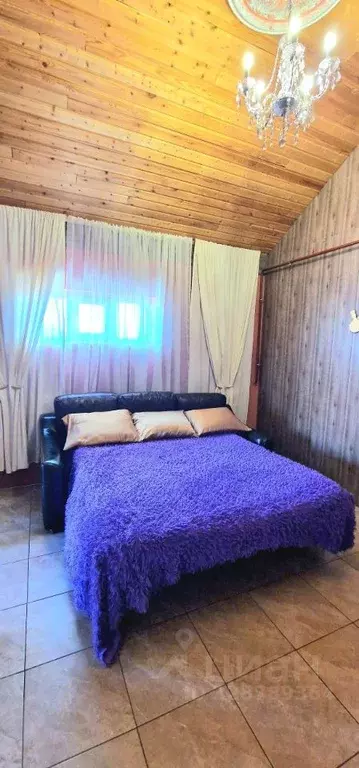 Студия Ленинградская область, Ломоносовский район, Низинское с/пос, д. ... - Фото 2