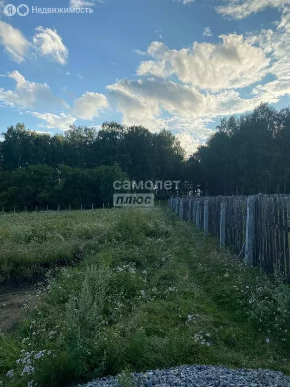 Участок в Миасский городской округ, село Черновское, Чернореченская ... - Фото 1