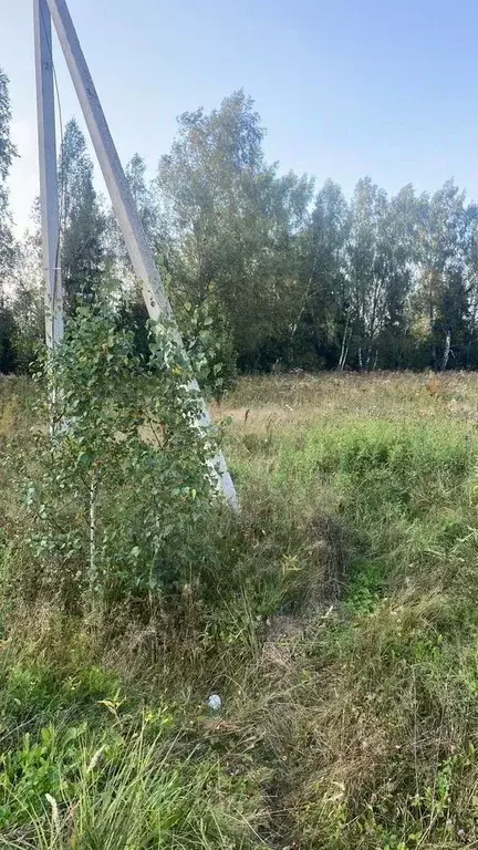 Участок в Московская область, Клин городской округ, Добрый Берег тер. ... - Фото 1