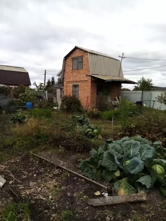 Дом в Омская область, Омск СНТ Ромашка ТСН, аллея 5-я (40 м) - Фото 1