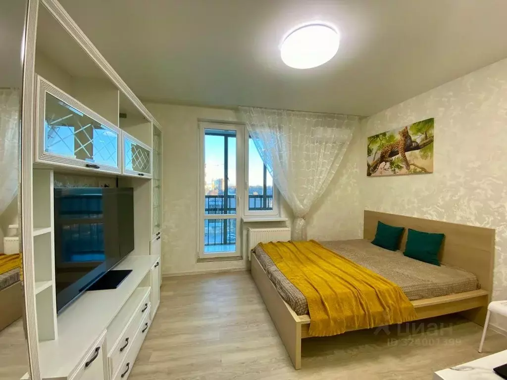 Студия Санкт-Петербург дор. Кушелевская, 7к1 (24.0 м) - Фото 2