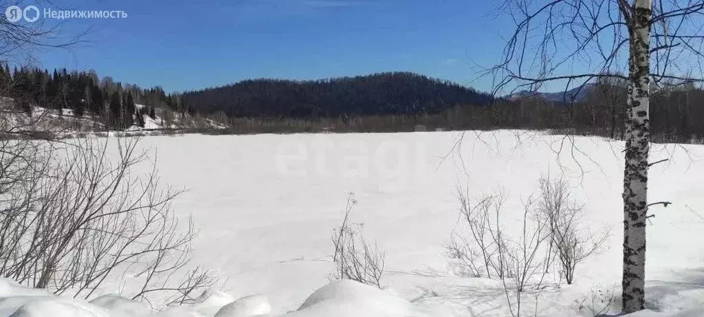 Участок в Республика Алтай, село Чоя (790.92 м) - Фото 2