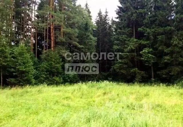 Участок в Бурятия, Кабанский район, пос. Речка Выдрино  (10.0 сот.) - Фото 1
