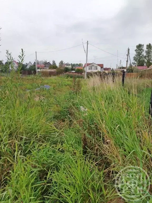 Участок в Ленинградская область, Ломоносовский район, Пениковское ... - Фото 2