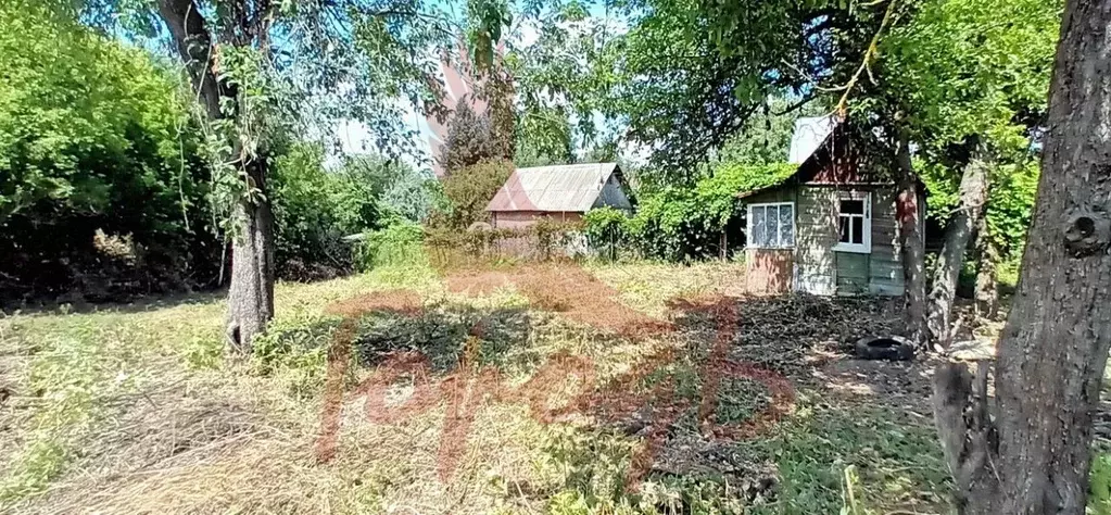 Дом в Орловская область, Орел Карачевское СТ, 246 (20 м) - Фото 1