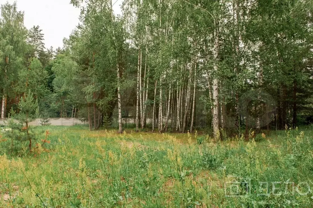 Участок 16 сот. (СНТ, ДНП) - Фото 0
