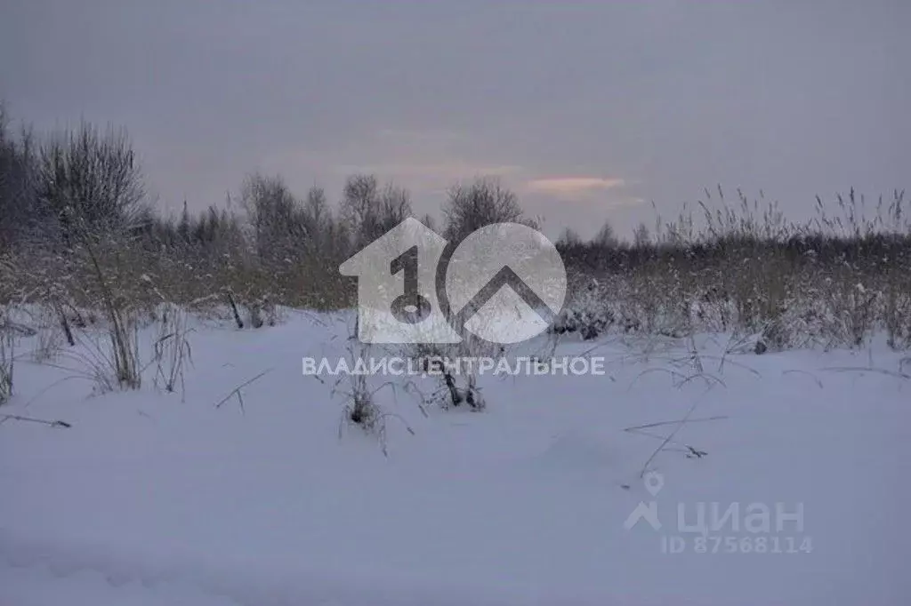 Участок в Новосибирская область, Мошковский район, пос. Кошево Садовая ... - Фото 1