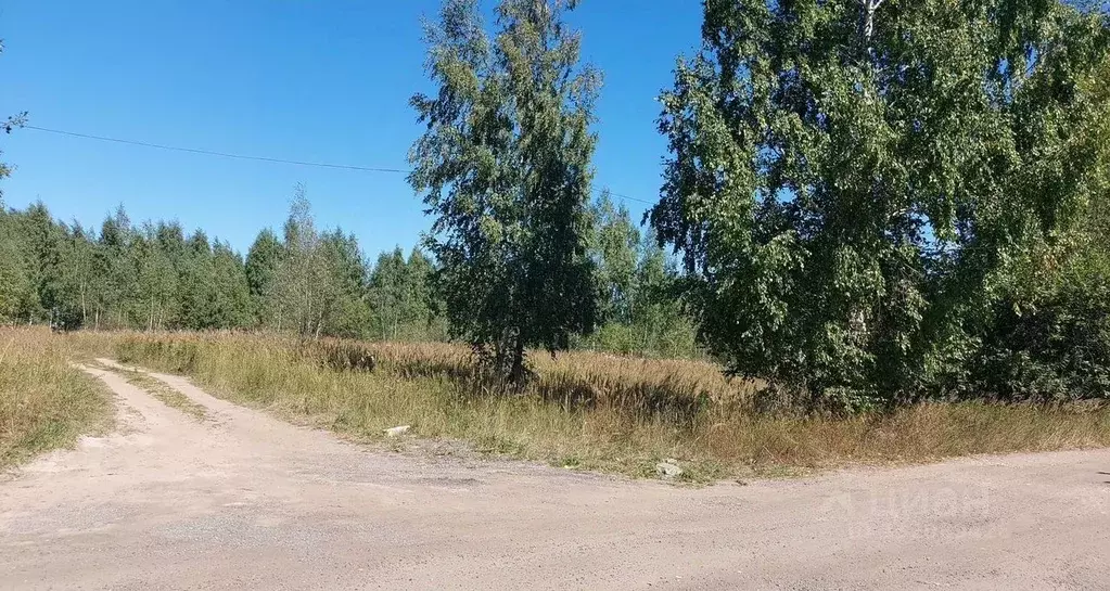 Участок в Московская область, Электроугли Богородский городской округ, ... - Фото 2