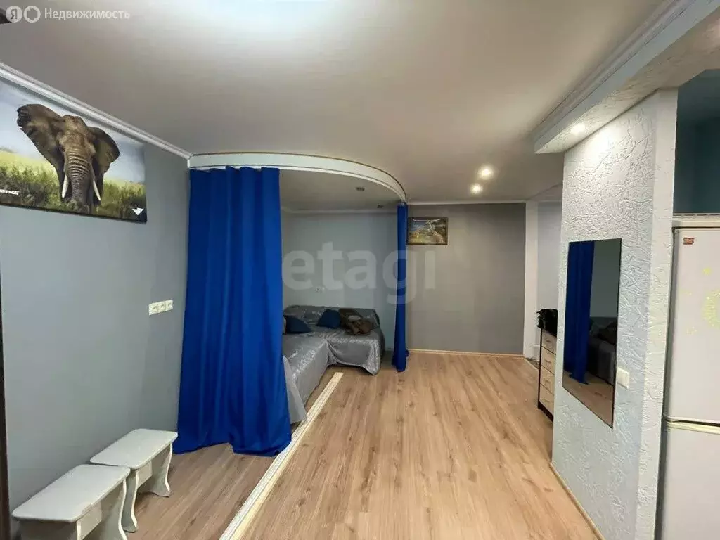 Квартира-студия: Кострома, микрорайон Черноречье, 3 (31.2 м) - Фото 2