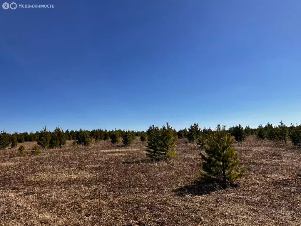 Участок в Иркутский муниципальный округ, деревня Ширяева (12 м) - Фото 0