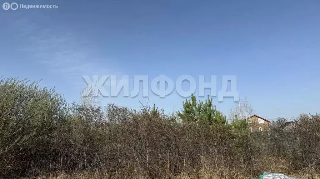 Участок в Колыванский район, Центральная улица (12 м) - Фото 1