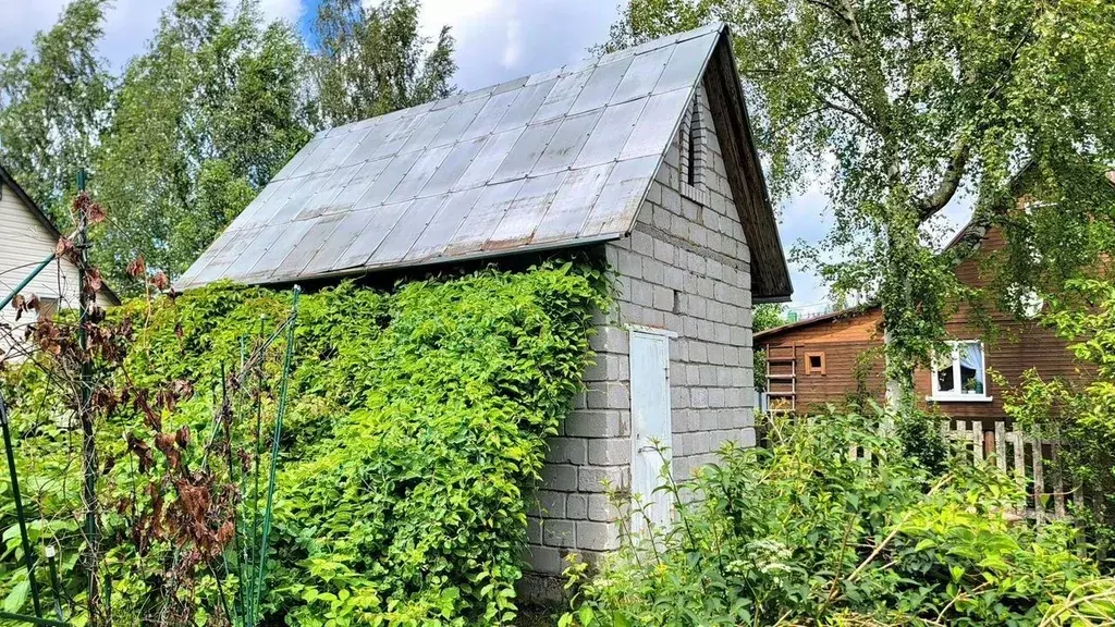 Дом в Ленинградская область, Сосновый Бор Дружба СНТ, ул. 3-я (16 м) - Фото 0