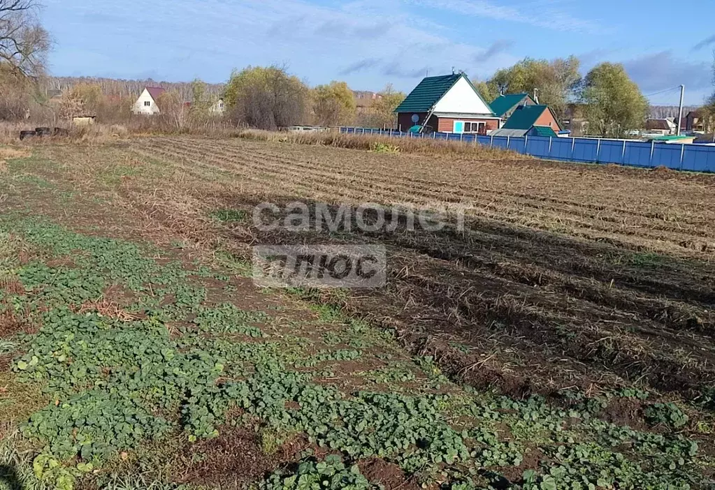 Участок в Новосибирская область, Новосибирский район, с. Криводановка ... - Фото 0