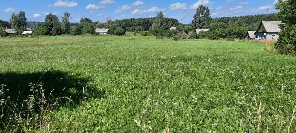 Участок в Смоленская область, Руднянский муниципальный округ, д. ... - Фото 1
