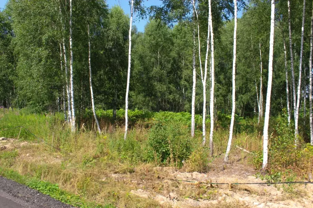 Участок в Московская область, Домодедово Сиеста Восточная тер.,  (5.0 ... - Фото 2