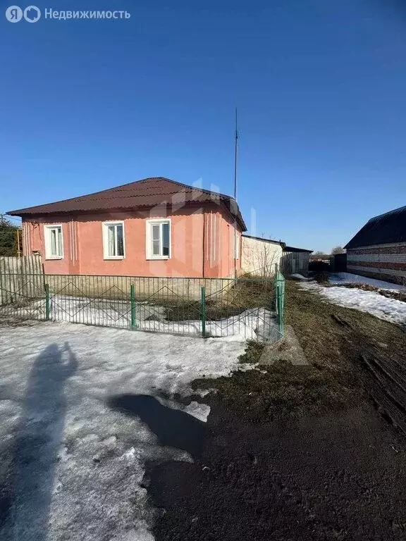 Дом в село Рогачёвка, улица Ворошилова, 146 (65 м) - Фото 2