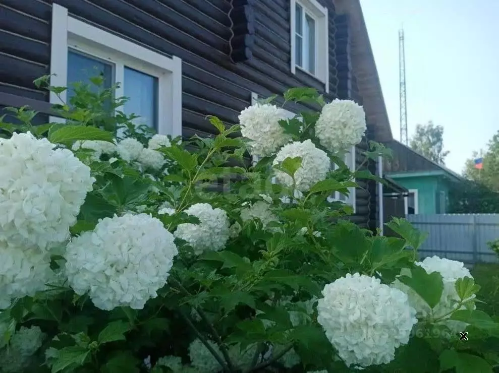 Дом в Красноярский край, Казачинско-Пировский округ, Галанинский ... - Фото 1