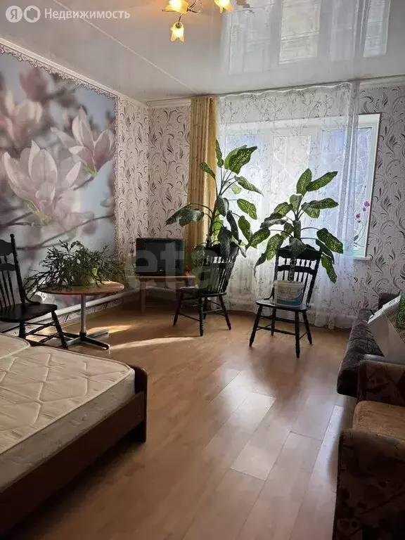 1-комнатная квартира: Анапа, микрорайон Алексеевка, Терновая улица, 37 ... - Фото 2