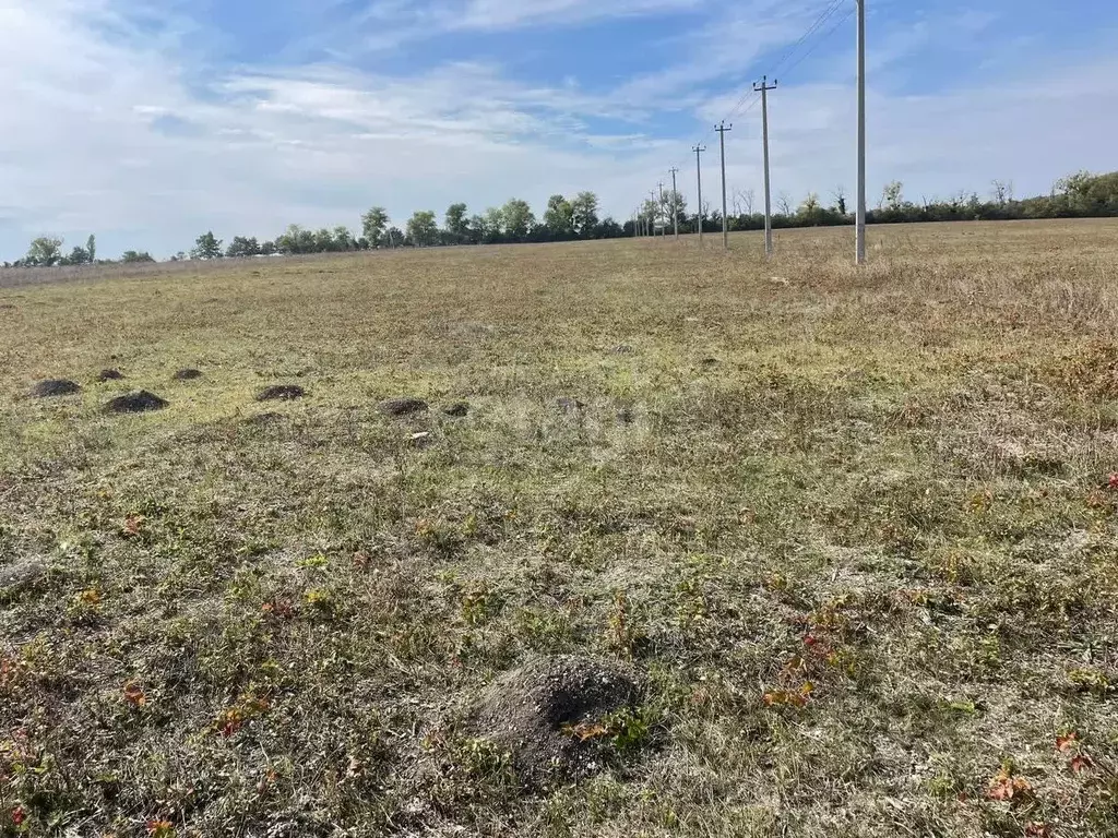 Участок в Краснодарский край, Новороссийск городской округ, ... - Фото 1
