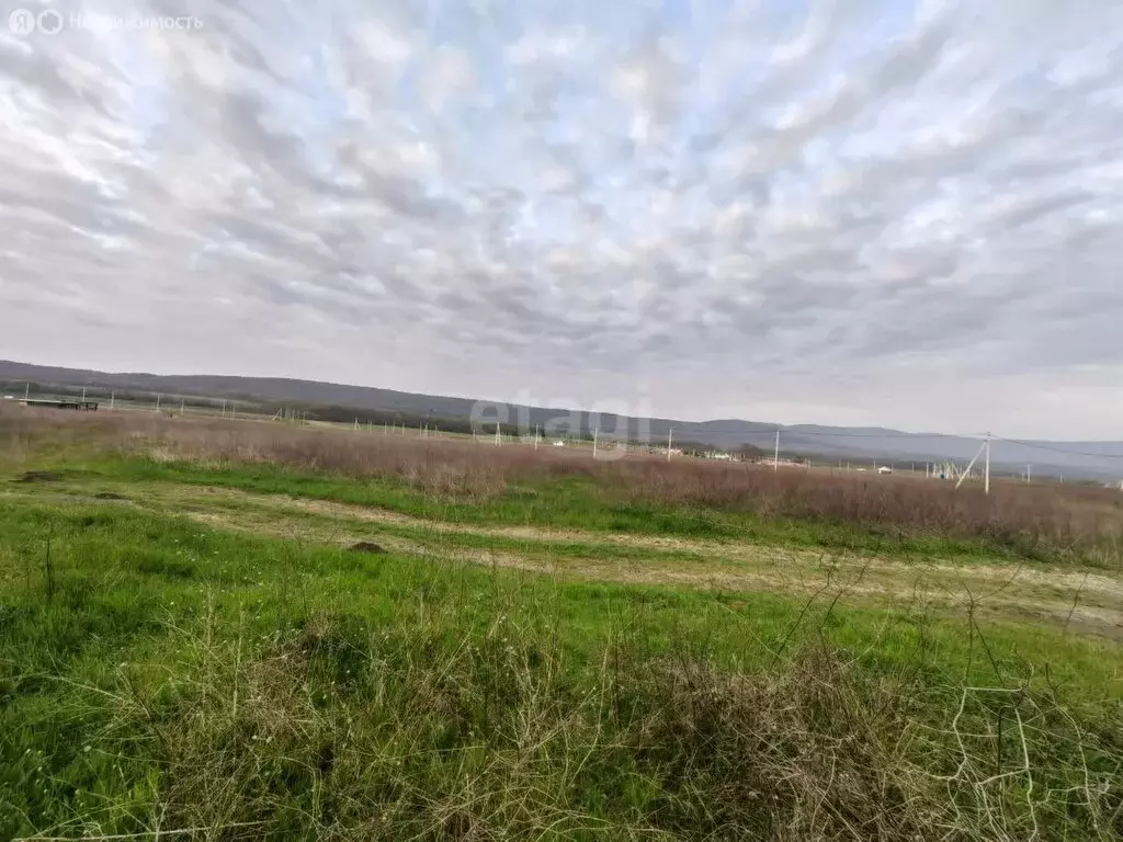 Участок в Краснодарский край, городской округ Новороссийск, станица ... - Фото 0