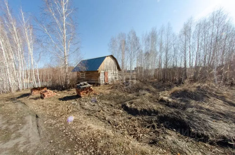 Участок в Курганская область, Шадринск пос. Звездный, ул. Васильковая ... - Фото 0