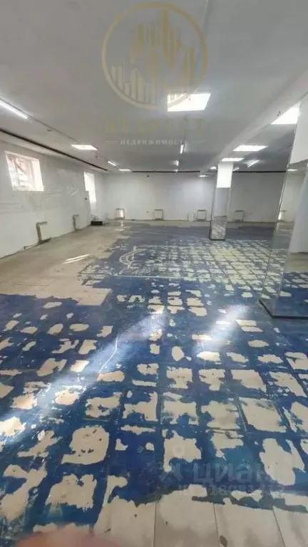 Торговая площадь в Ставропольский край, Ессентуки Кисловодская ул., 61 ... - Фото 2