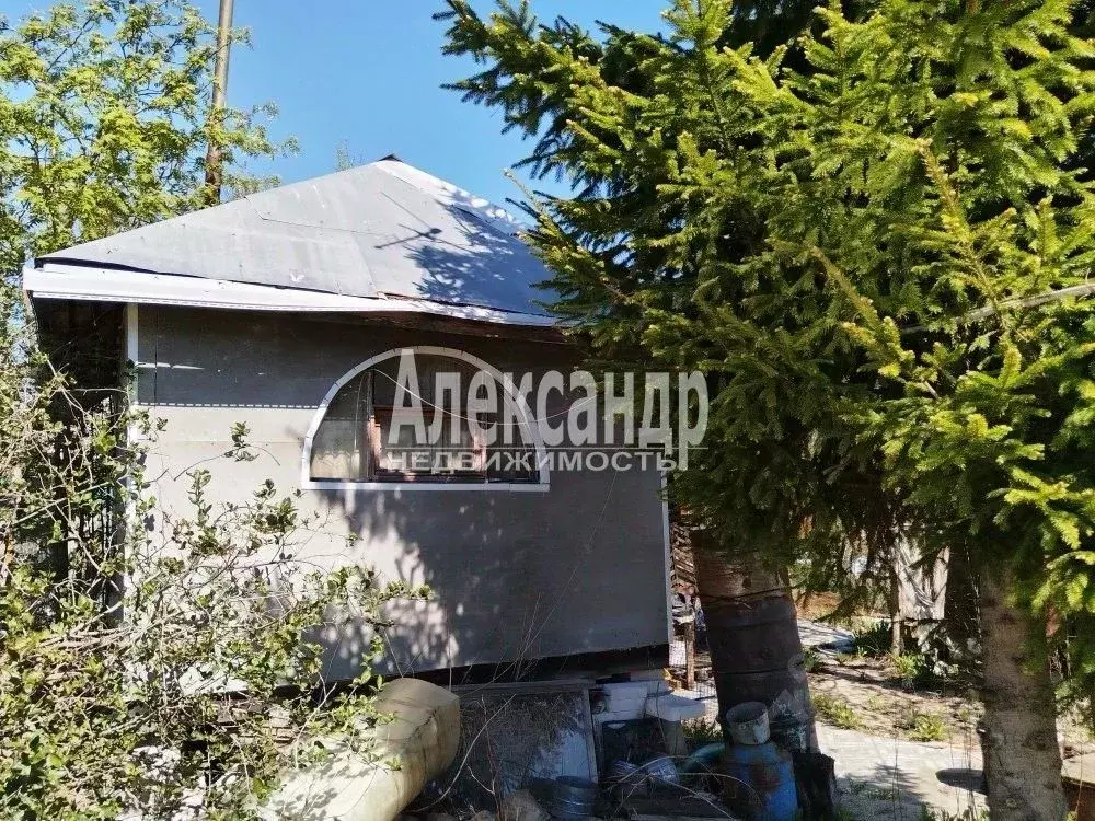 Участок в Ленинградская область, Кировский район, Синявинское ... - Фото 1