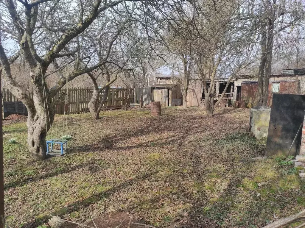 Участок в Калининградская область, Янтарный пгт, Садовник СНТ ул. ... - Фото 1