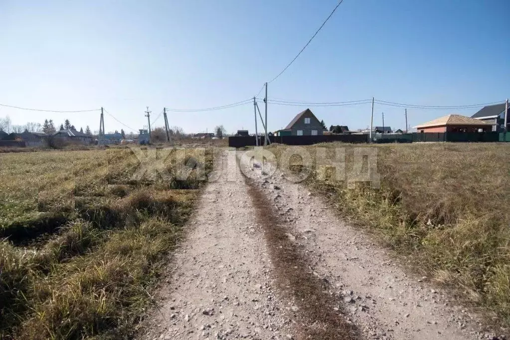Участок в Новосибирская область, Искитимский район, Мичуринский ... - Фото 0