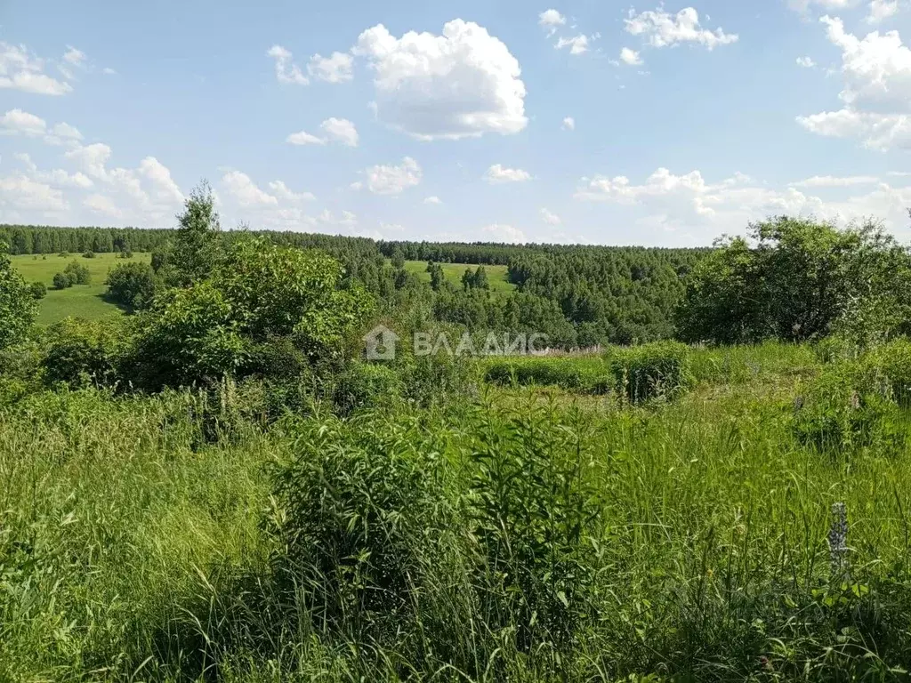 Участок в Пензенская область, Пензенский район, Алферьевский ... - Фото 1