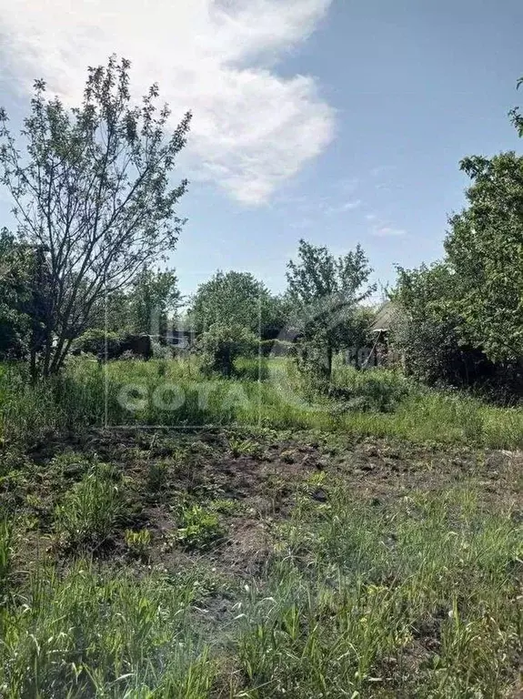 Дом в Воронежская область, Воронеж Железнодорожник-2 СНТ, ул. 33-я ... - Фото 1