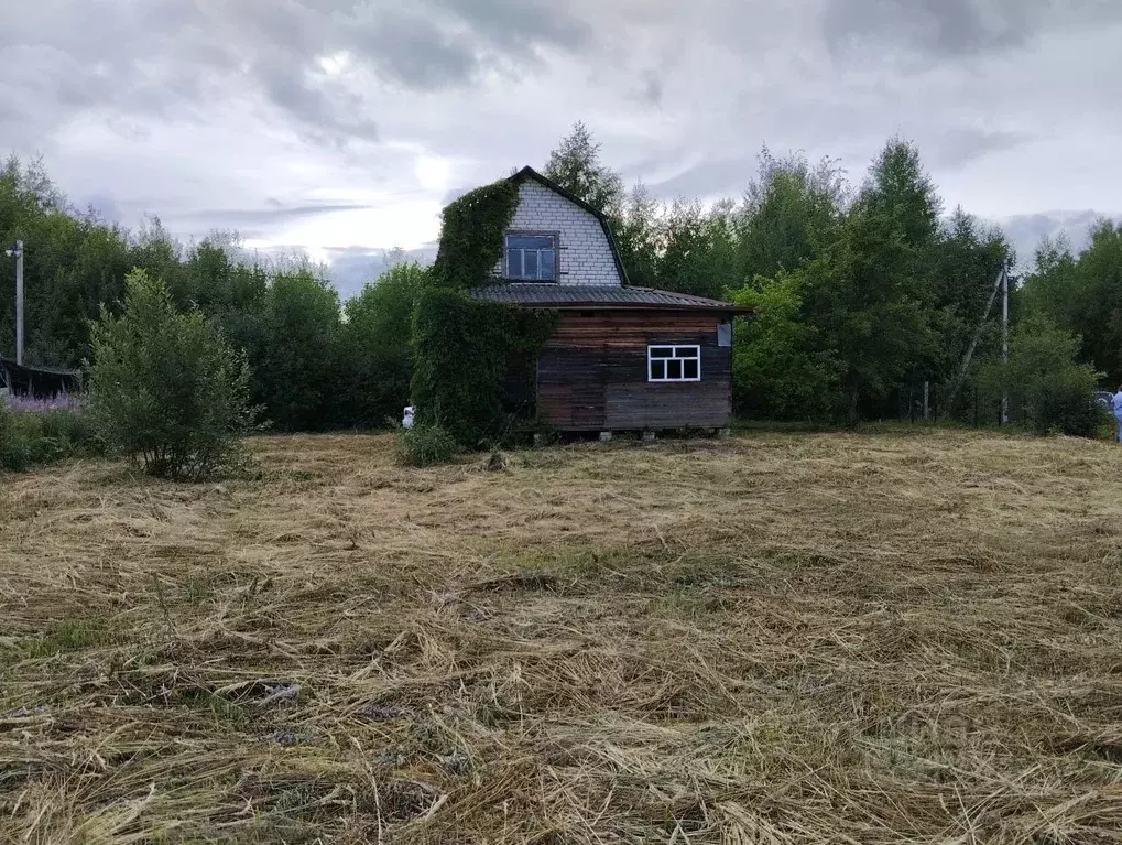 Участок в Владимирская область, Александровский район, Андреевское ... - Фото 0