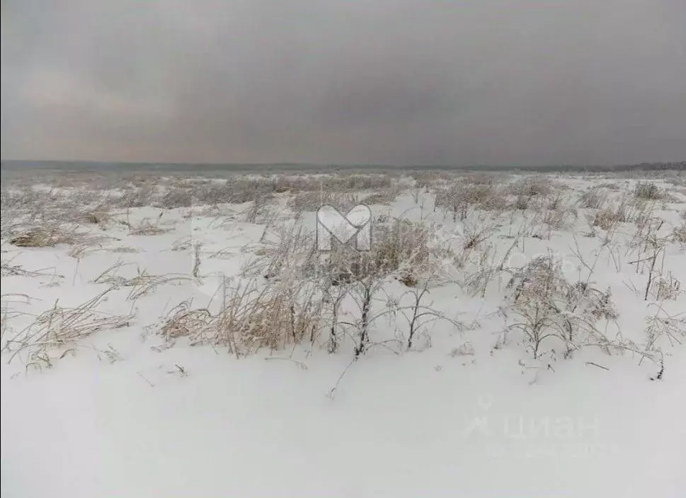 Участок в Ленинградская область, Ломоносовский район, Копорское с/пос, ... - Фото 1