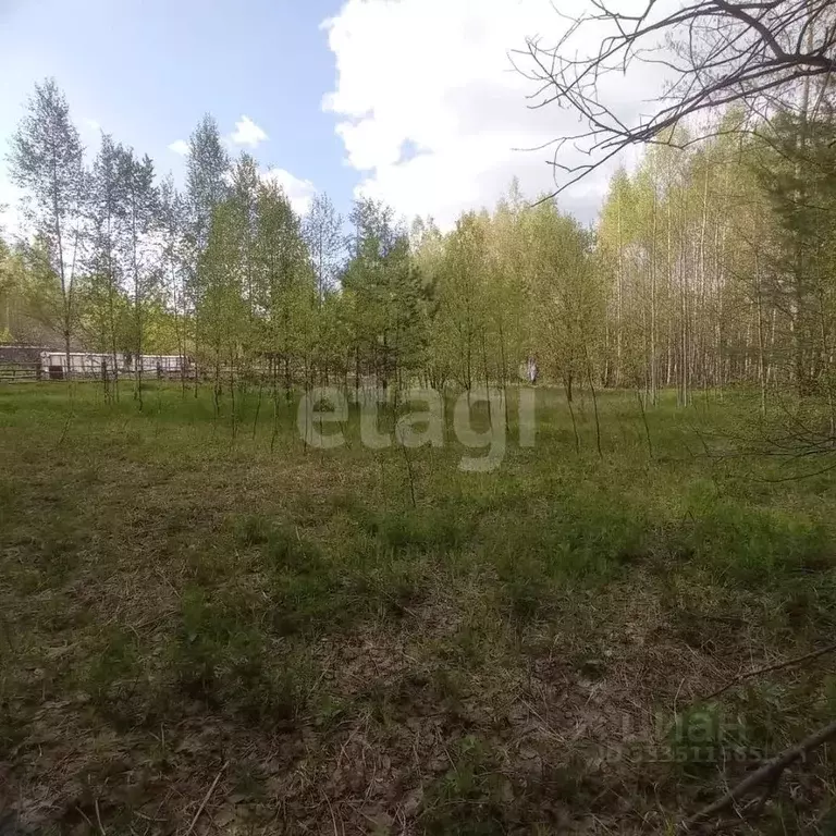 Участок в Марий Эл, Медведевский район, Куярское с/пос, Чодра СНТ 286 ... - Фото 2