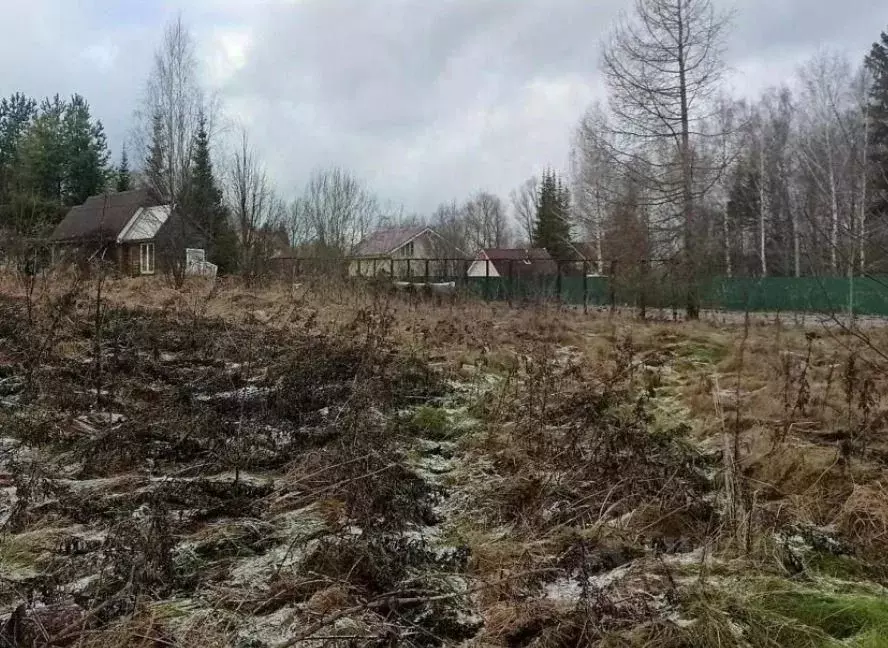 Участок в Московская область, Дмитровский муниципальный округ, д. ... - Фото 1