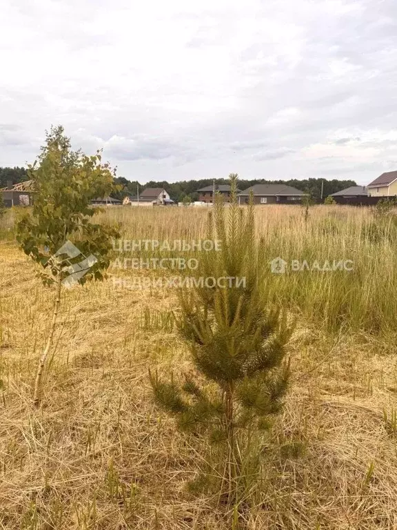 Участок в Рязанская область, Рязанский район, Вышгородское с/пос, с. ... - Фото 1