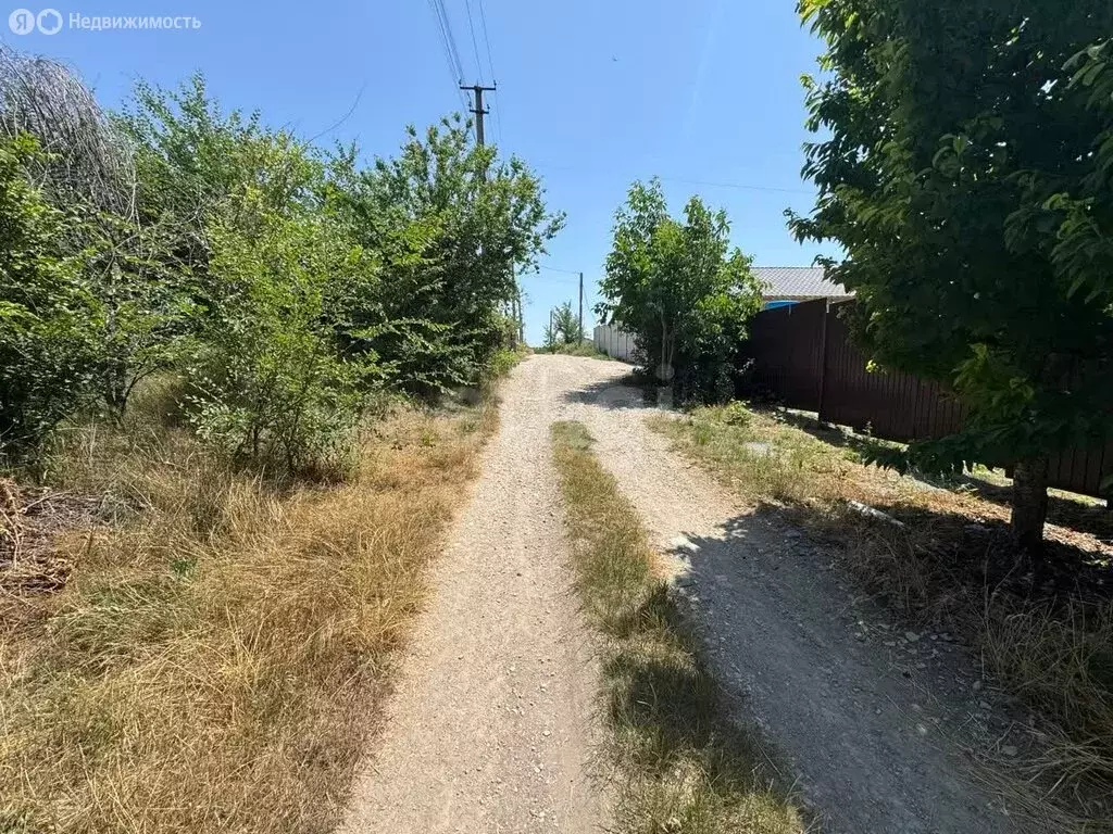 Участок в Чистенское сельское поселение, СПК Родничок, Булганакская ... - Фото 1