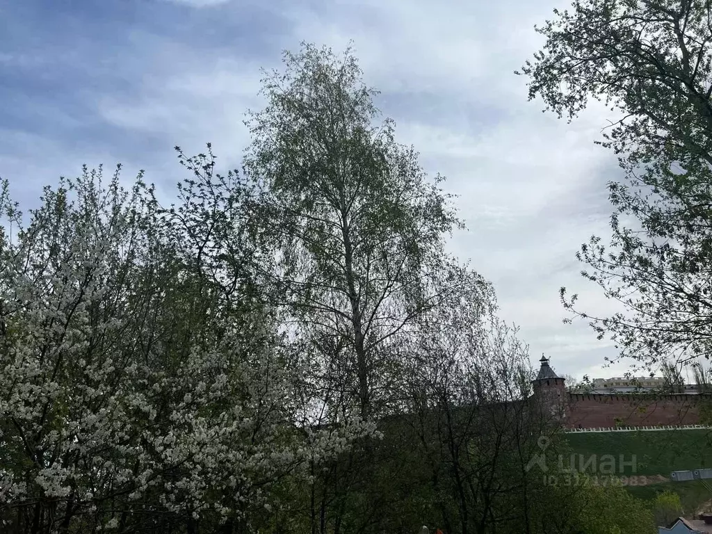 2-к кв. Нижегородская область, Нижний Новгород Ильинская ул., 10 (55.0 ... - Фото 1