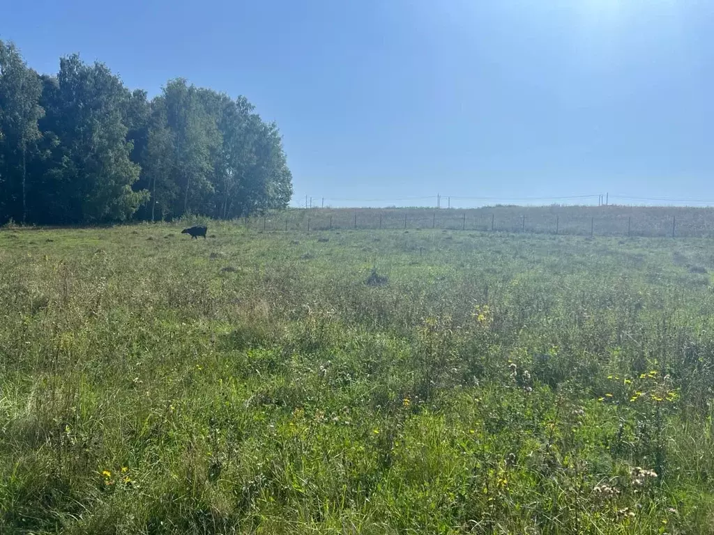 Участок в Московская область, Серпухов городской округ, д. Мещериново  ... - Фото 0