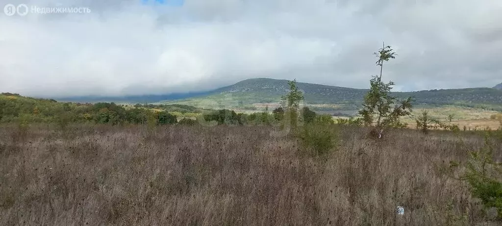 Участок в Балаклавский район, Орлиновский муниципальный округ, село ... - Фото 0