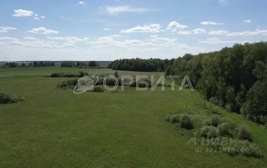 Участок в Тюменская область, Тюменский муниципальный округ, д. Елань  ... - Фото 1