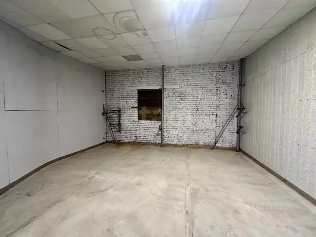 Помещение свободного назначения в Коми, Сыктывкар Колхозная ул., 40/10 ... - Фото 2