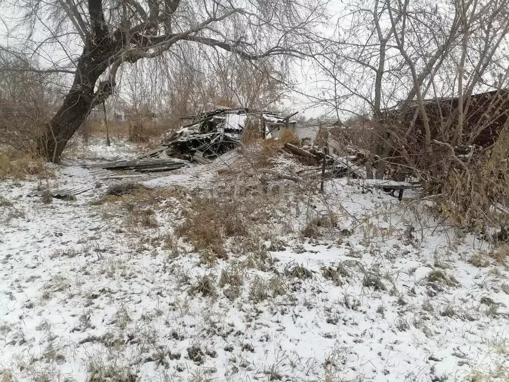 Участок в Алтайский край, Славгород ул. 50 лет Октября, 71 (11.6 сот.) - Фото 1