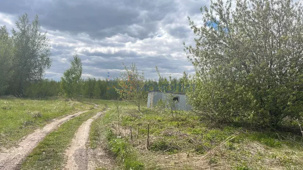 Участок в Нижегородская область, Кстовский муниципальный округ, д. ... - Фото 1