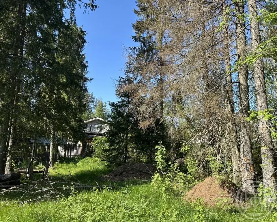 Участок в Ленинградская область, Выборгский район, Первомайское с/пос, ... - Фото 2