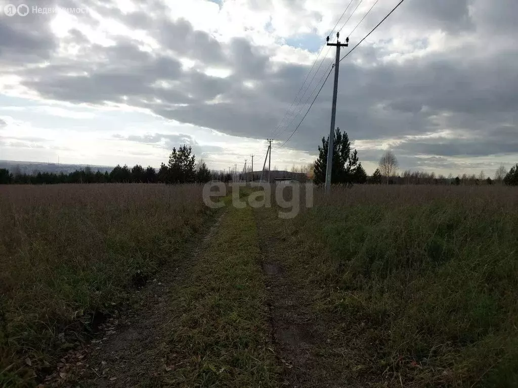 Участок в Кемеровский муниципальный округ, деревня Солонечная (10 м) - Фото 1