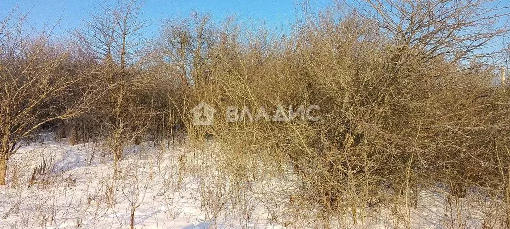 Участок в Белгородская область, Белгородский район, Дубовское с/пос, ... - Фото 1
