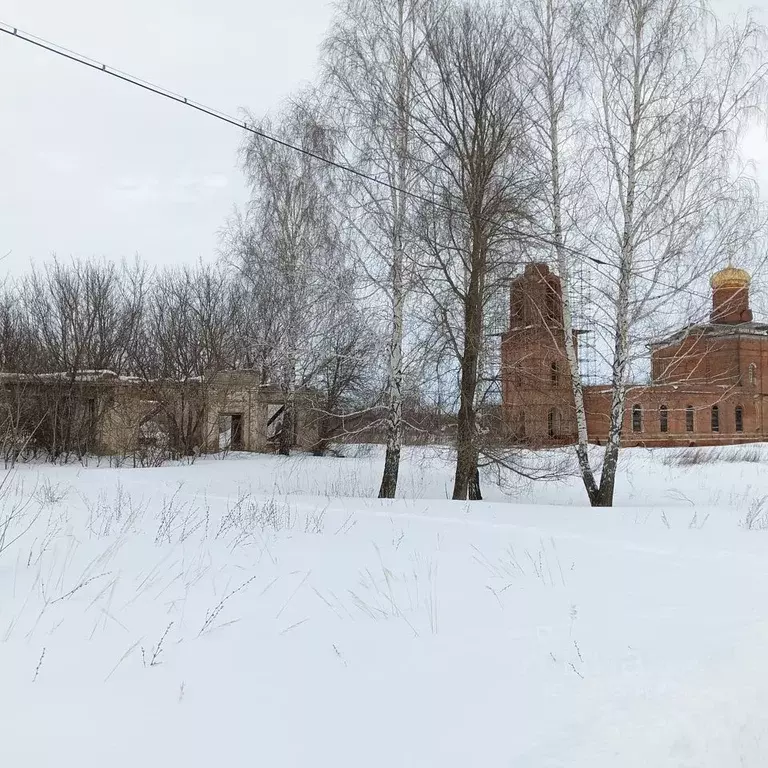 Помещение свободного назначения в Рязанская область, Скопинский район, ... - Фото 0