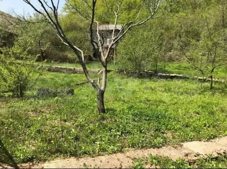 Участок в Краснодарский край, Геленджик городской округ, с. ... - Фото 2